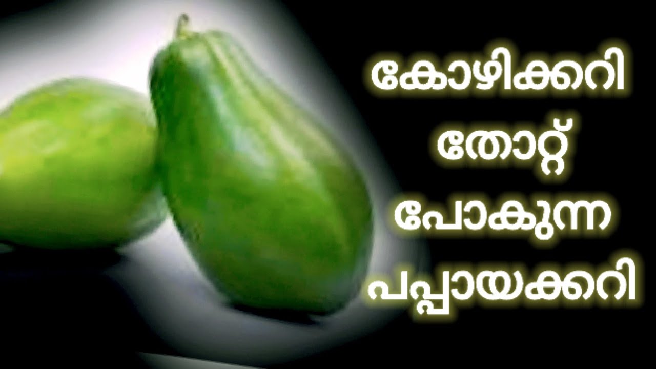കോഴിക്കറി തോറ്റ് പോകുന്ന പപ്പായക്കറി Viral Papaya Recipie Papaya