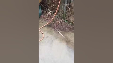 An EGGSperiment: The Conclusion