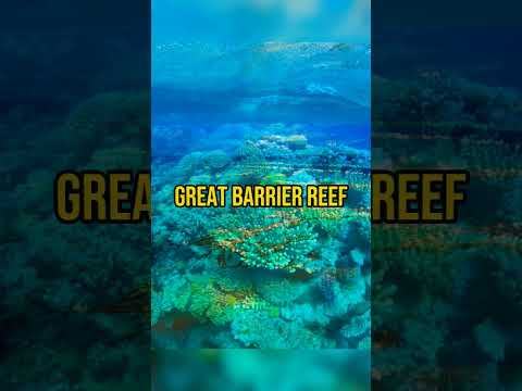 Video: Great Barrier Reef, Australia: sejarah, deskripsi, dan fakta menarik