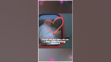 Cử chỉ "thả tim" đáng yêu của ĐỨC GIÁO HOÀNG Phanxicô #trambui