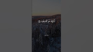 ولا تكونوا كالذين نسوا الله فانساهم انفسهم || القارئ ماهر المعيقلي || حالات واتس اب || ستوريات ||🤍.