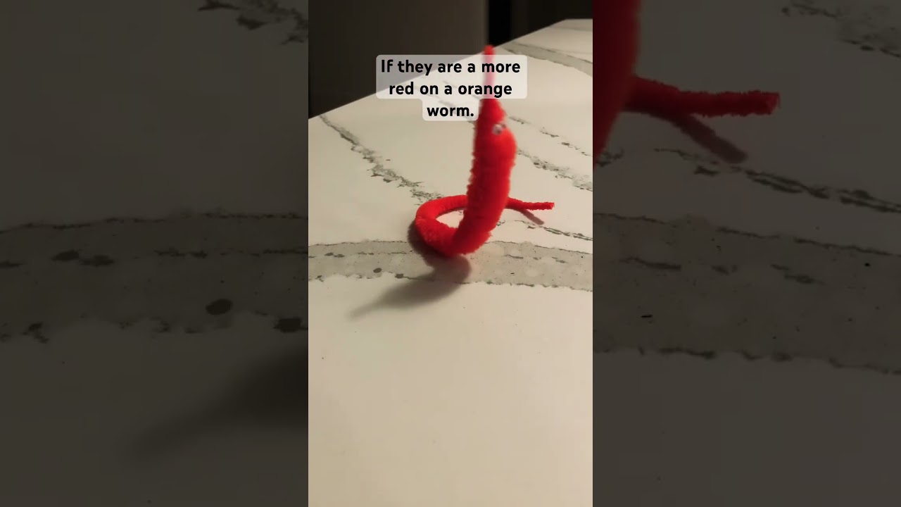 How to know if you have a rare worm! 