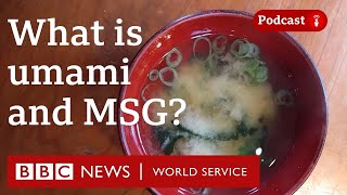 What is umami and MSG? - The Food Chain podcast, BBC World Service