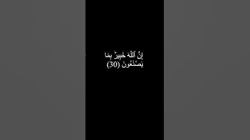 سورة النور (30)