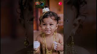 “ನಮ್ಮನೆ ಕೃಷ್ಣ 2025”: ಮೆಚ್ಚುಗೆ ಗಳಿಸಿದ ಟಾಪ್‌ 12 ರೀಲ್ಸ್‌ | ಶ್ರೇಯಾಂಶ್ ಶೆಟ್ಟಿ | Udayavani  | Udayavani