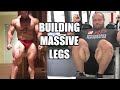 How to build MASSIVE legs Ft Mike Israetel (full leg workout)