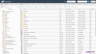 How to Create and Edit Files and Folders in cPanel File Manager with Aura One
