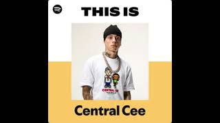 BEST OF CENTRAL CEE MIX (2021-2026)