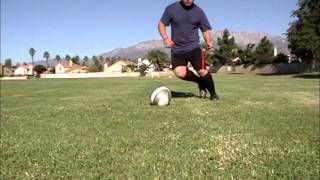 Full Learn Basic Soccer Football Move Ronaldo R9 Double Feint Guide