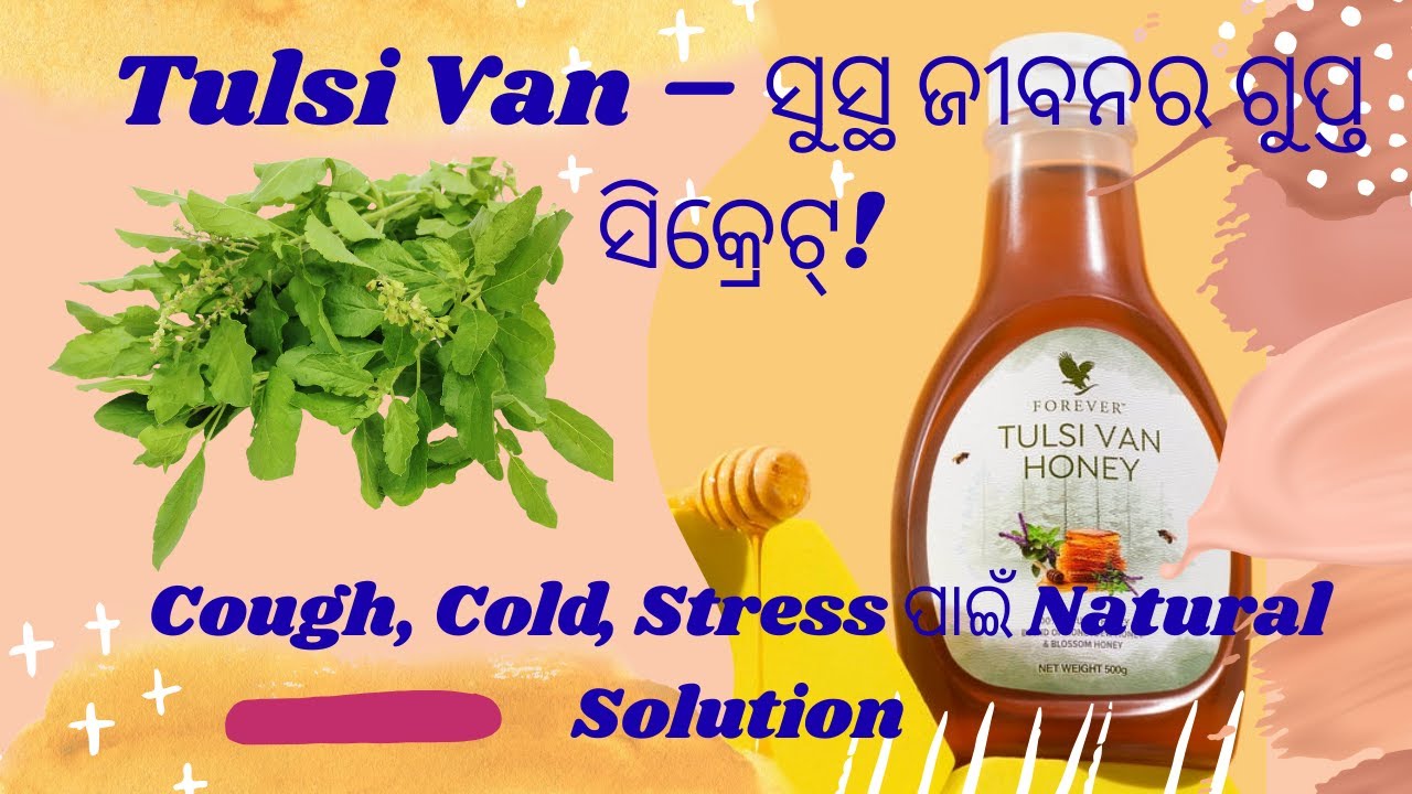 👨‍👩‍👧‍👦 Forever Tulsi Van –  ଦିନକୁ କେବଳ କିଛି Tulsi Van Drops, ସମଗ୍ର ପରିବାର ପାଇଁ ସୁସ୍ଥ୍ୟର ରହସ୍ୟ !