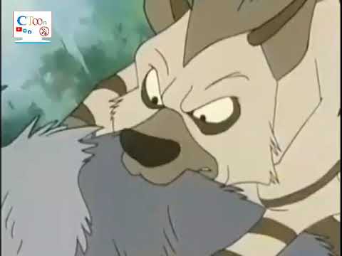 كرتون ماوكلي الحلقة 49 بدون موسيقى