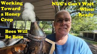 NUC Beehives Must Go | Apiary Happenings | Spring Beekeeping