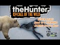 Road to a DIAMOND ALBINO Brown Bear (SUPER RARE)#1 medved taiga story missions gameplay/guide