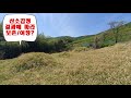 181.조상 산소 그대로 두는 것이 나은지 산소이장 해도 되는지?( 울산시 울주군  출장사례/ 풍수.수맥