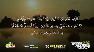 002) সূরা আল বাক্বারাহ _ سورة البقرة Surah Al Baqarah _ Full বাংলা অনুবাদ HD_ mahfuz art of nature