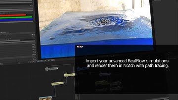 Notch Quick Tip: Import RealFlow (new in 0.9.23)