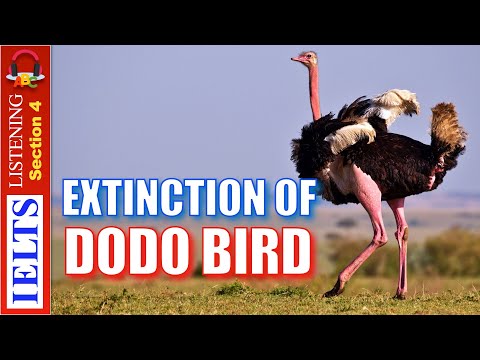 Cambridge IELTS Listening Practice | Section 4 | Extinction of the Dodo Bird