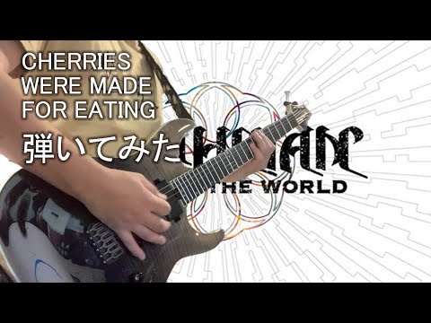 BRAHMAN【CHERRIES WERE MADE FOR EATING】ギター弾いてみた（GuitarCover）