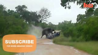 Elephant Rolls Car  Elephant Attack Caught On Camera