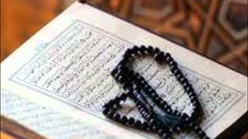 الشيخ هاني بن حريب يتلو من سورة البلد الى سورة الليل