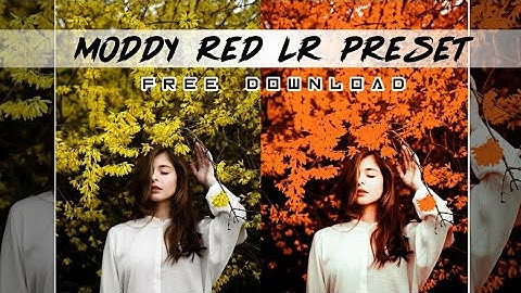 How To Edit Moody Red In lightroom || Moody Red Free Preset || Lightroom mobile toturial