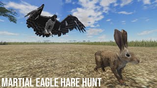 Martial Eagle Hare Hunt (Testing A)