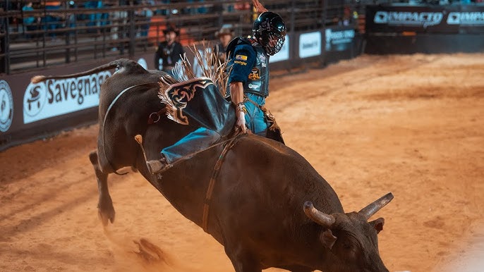 Peão é internado após ser pisoteado por touro em Barretos - 24/08