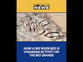 How a dry river bed is changing activity on the Rio Grande