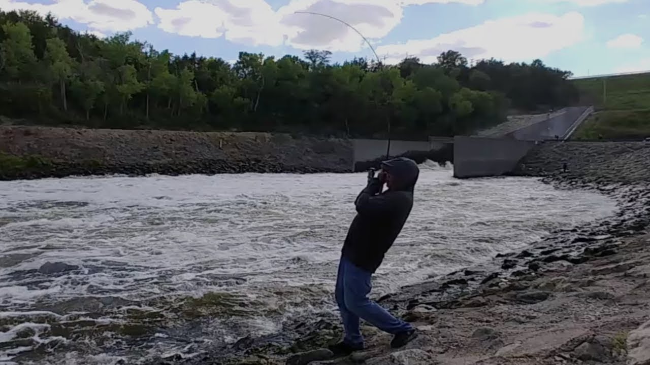 Striper Fishing at Night in The Spillway. EP 106 YouTube