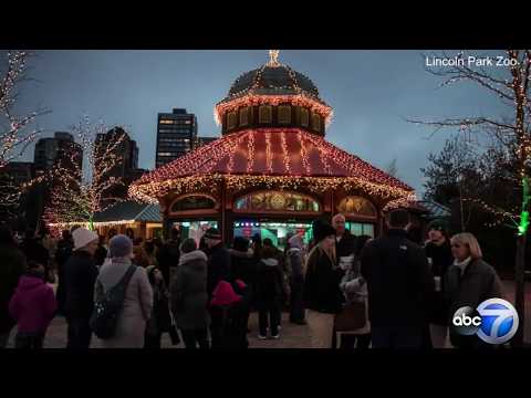 Video: Lichter im Lincoln Park Zoo: Weihnachten in Chicago