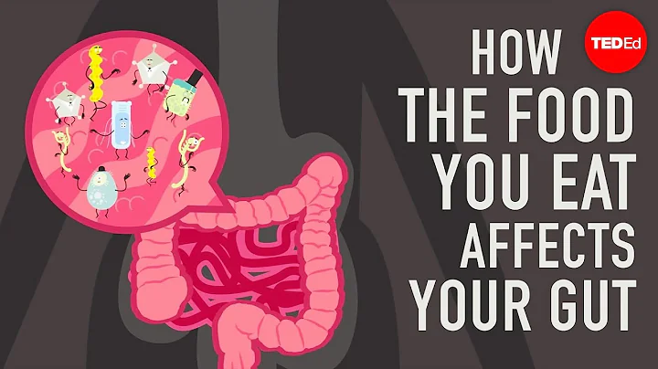 How the food you eat affects your gut - Shilpa Rav...