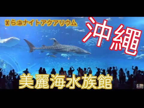 沖繩美麗海水族館，看一下世界第一大水族箱 @阿布吉旅遊生活頻道｜沖繩自由行｜自助旅行