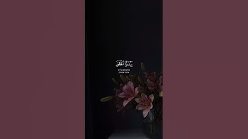 أمن يبدؤا الخلق ثم يعيده - القارئ : احمد النفيس - سورة النمل #tiktok #quran_h2o