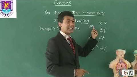 XY- linked inheritance  || Genetics NCERT XII Class || By Nagavelli Prasad