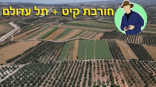 🌳חורבת קיט ותל עדולם ממעוף הרחפן 🚁