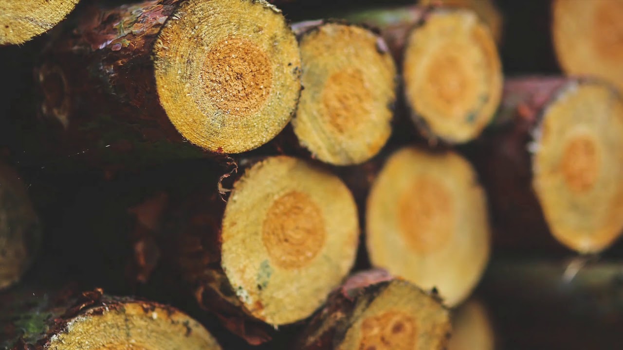 APNA ORGANICS  Responsibility Video
