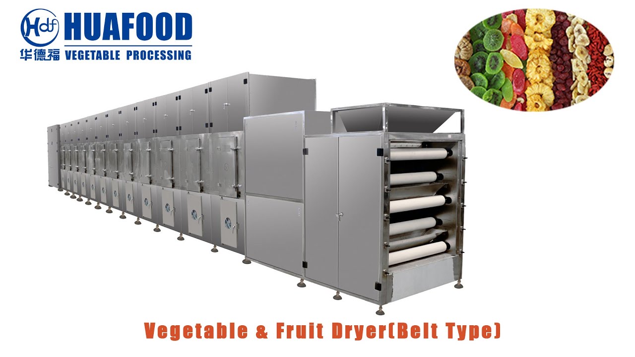 How to drying vegetable fruit chili of Belt type tunnel dryer YouTube