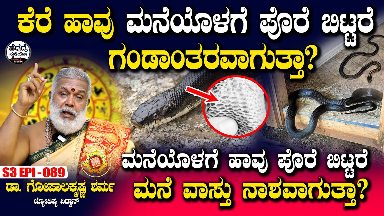 ಕೆರೆ ಹಾವು ಮನೆಯೊಳಗೆ ಪೊರೆ ಬಿಟ್ಟರೆ ಗಂಡಾಂತರವಾಗುತ್ತಾ? | Gopalakrishna Sharma  | S3 Epi - 89 |Heggadde