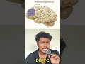 Prophetic AI Headband Controls Your Dreams While You Sleep! 😱 | Dual & Phase Explained