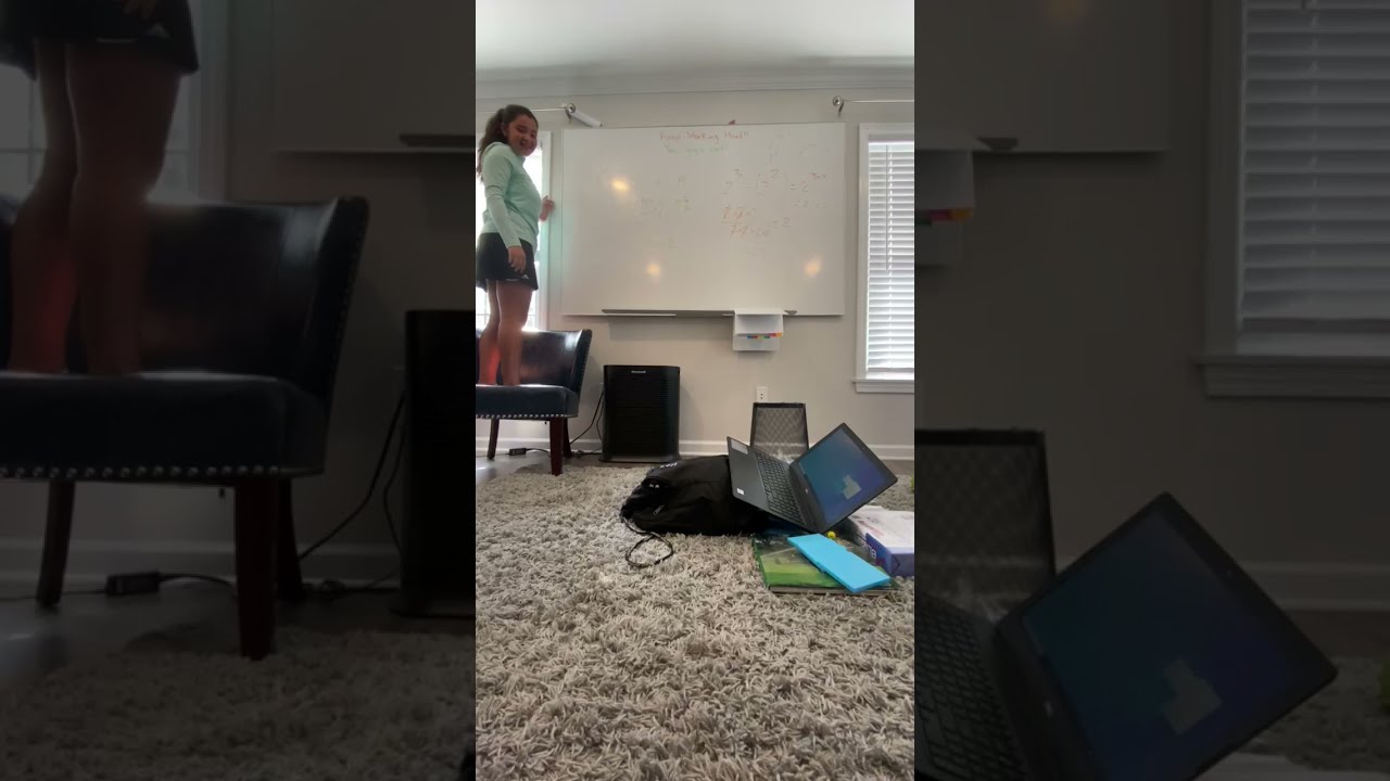 Arabella's Rube Goldberg Science Project