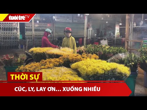 đầm sen thành phố hồ chí minh New 2022 Cúc, ly, lay ơn… xuống nhiều, chợ hoa Đầm Sen mở cửa nhộn nhịp | Tuổi Trẻ TV