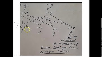 CSIR-UGC-NET-JRF_DEC 2018
