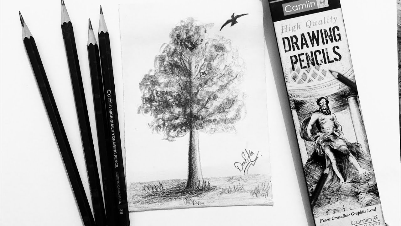 Simple tree sketch for beginners | tree sketch step by step | pencil ...