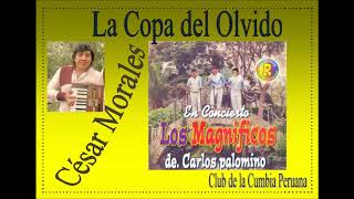 Video thumbnail of "Los Magnificos de Carlos Palomino-La Copa del Olvido (Cesar Morales)-"