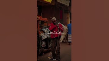 تلاوة مؤثرة بصوت عبدالرحمن مسعد  #القران_الكريم #المصحف  #صلوا_على_النبي