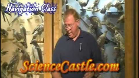 Navigation Experiments