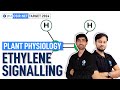 Ethylene Signalling | Plant Physiology | CSIR NET Life science | IFAS