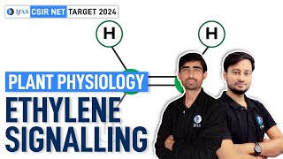 Ethylene Signalling | Plant Physiology | Target CSIR NET Life science June 2024 | IFAS