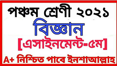 Class Five Assignment 2021 পঞ্চম শ্রেণীর অ্যাসাইনমেন্ট পঞ্চম সপ্তাহ বিষয় বিজ্ঞান Class 5 Scienc