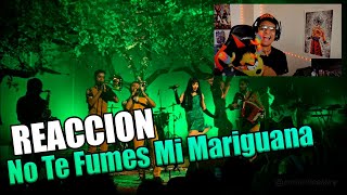 REACCION A Mon Laferte - No Te Fumes Mi Mariguana (En Vivo)